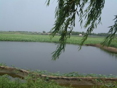 &#19975;&#35937;&#22478;&#22312;&#32447;&#45;&#19975;&#35937;&#22478;&#22312;&#32447;&#40;&#20013;&#22269;&#41;